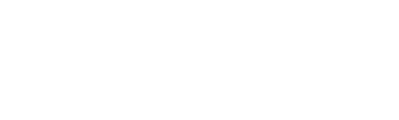 Ansioniemen sähkö logo