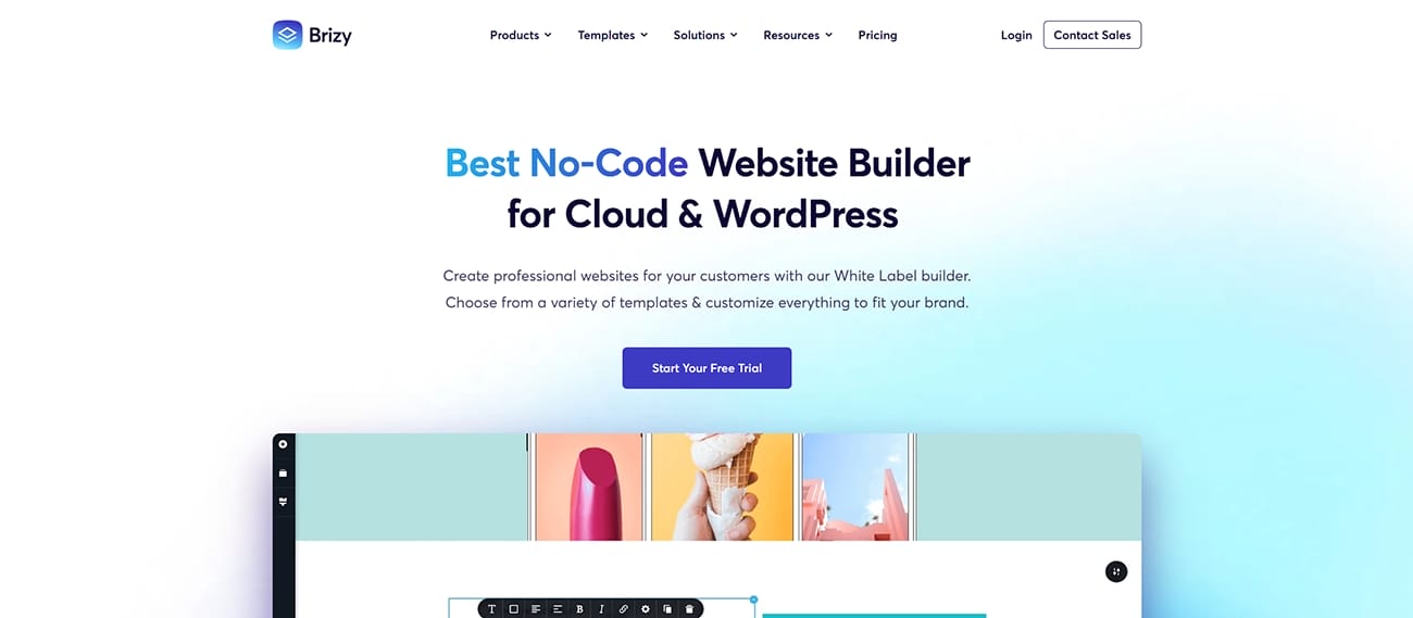 Brizy website builder